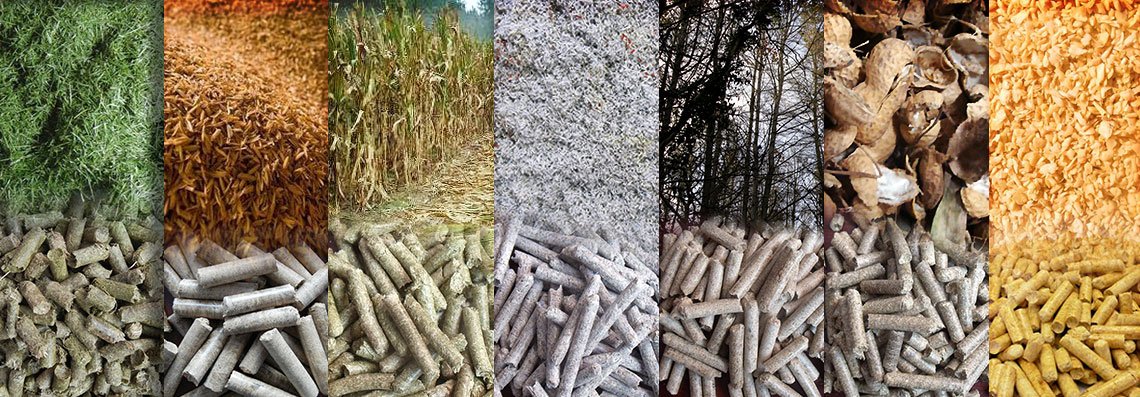 Sustainable Bio Fuel Production